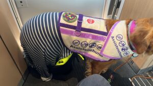 Luna steht vor der ICE-Ausgangstür. Sie hat eine Kenndecke an. Hinten am Po sieht man einen blau-weiß gestreiften Pullover und noch den Zipfel der Liegedecke als Windel