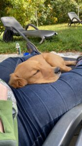 Luna, wie sie sich an mich kuschelt