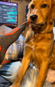 Luna wie sie versucht einen Socken auszuziehen.