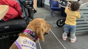 Luna sitzt und beobachtet ein kleines Mädchen auf der anderen Seite des Ganges im ICE