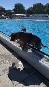 Luna klettert alleine aus dem Becken