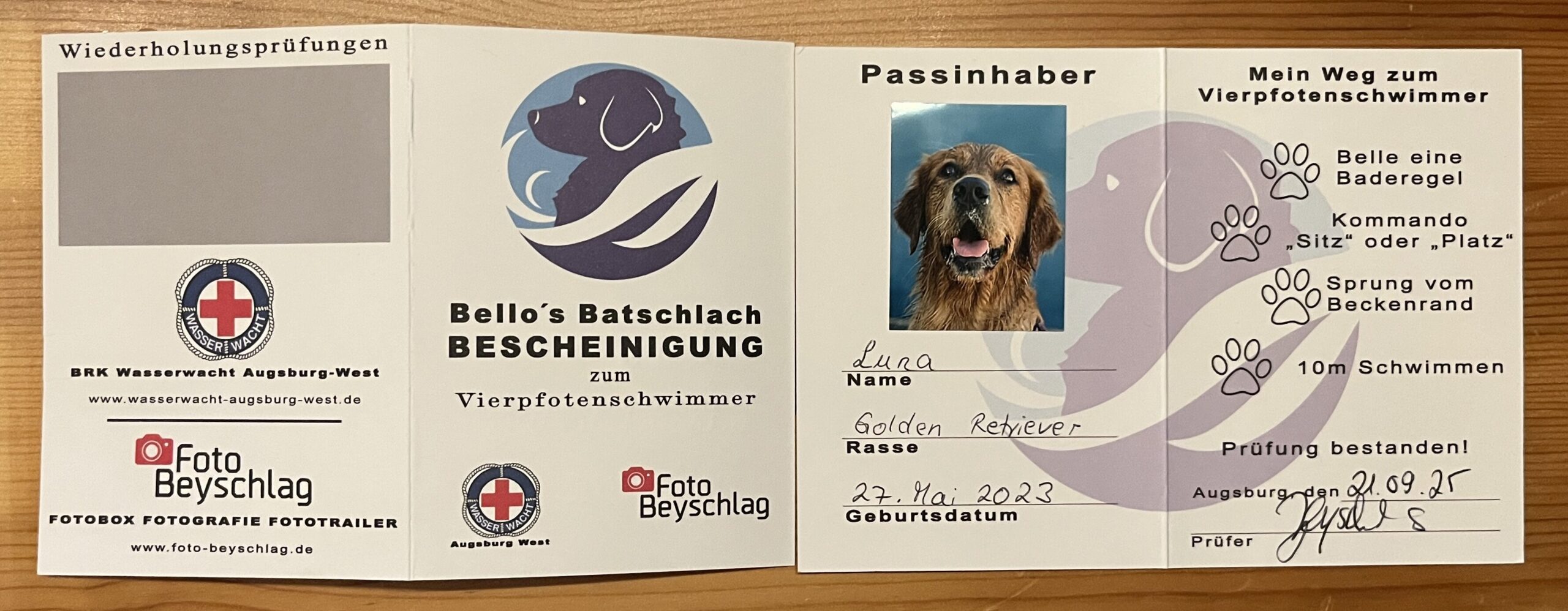 Vorder- und Rückseite von Lunas Vierphofenschwimmer-Ausweis