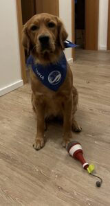 Luna sitzt im Flur der Wohnung. Sie trägt das blaue Vier-Pfotenschwimmer-Halstuch (personifiziert mit ihrem Namen). Vor ihr liegt das Wasserspielzeug in Form einer Boje