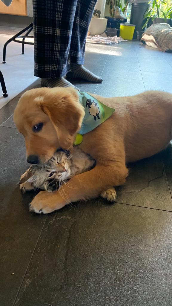 Luna und Harry: Luna zwickt Harry ins Ohr