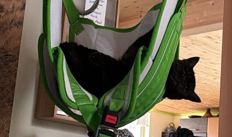 Hilfmittelmissbrauch: Lilly im Liftertuch vom Deckenlifter