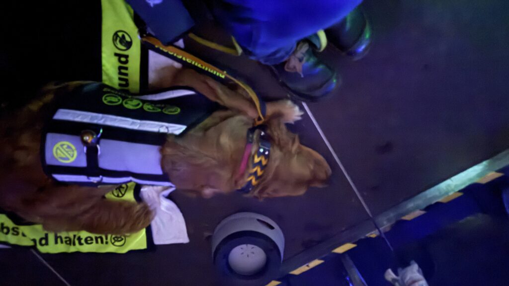 Luna liegt im Dunkeln neben mir auf ihrer Decke