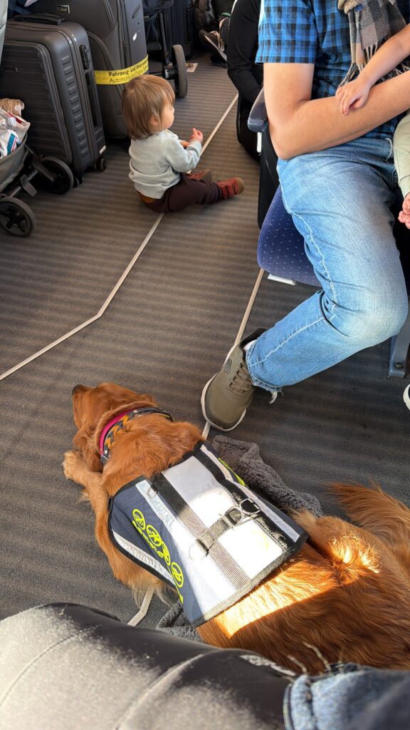 Luna liegt auf dem Boden des ICE. Man sieht etliches Gepäck, sowie ein Kleinkind im Gang sitzen. Direkt neben Luna ist das Bein eines jungen Mannes, der selbst ein Säugling auf dem Arm hält. Auch ein Teil meines Oberschenkels ist zu sehen.