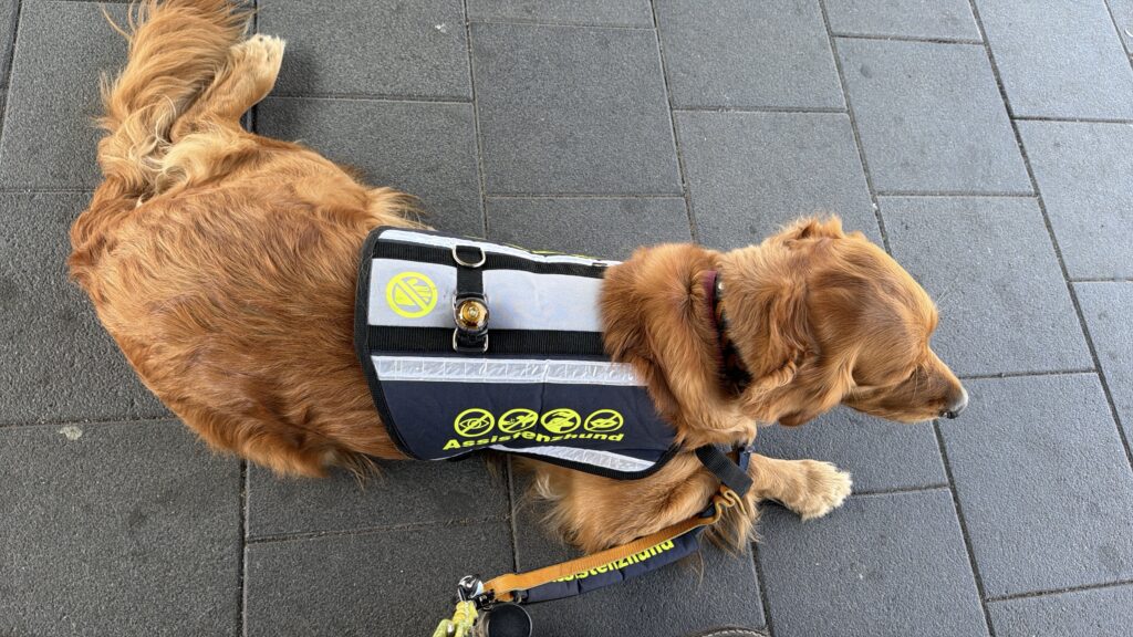 Wir haben‘s getan…