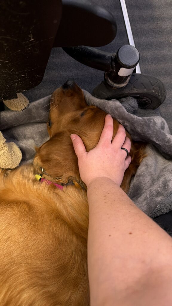 Luna liegt auf ihrer Decke auf dem Boden. Mit der rechten Hand drücke ich vorsichtig ihren Kopf nach unten. Im oberen Bereich sind noch die Vorderräder des Rollstuhls zu sehen.