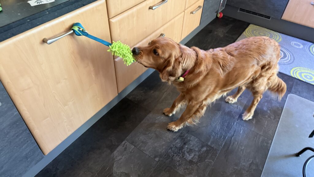 Luna zieht, um die Spülmaschine zu öffnen