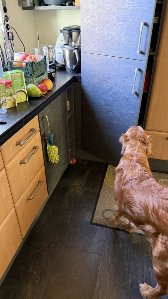 Luna schließt einen hohen Schrank mit Anschlag links. Links von ihr ist ein „Wischmopp“ an einer Schranktür zu sehen, die den Anschlag rechts hat.