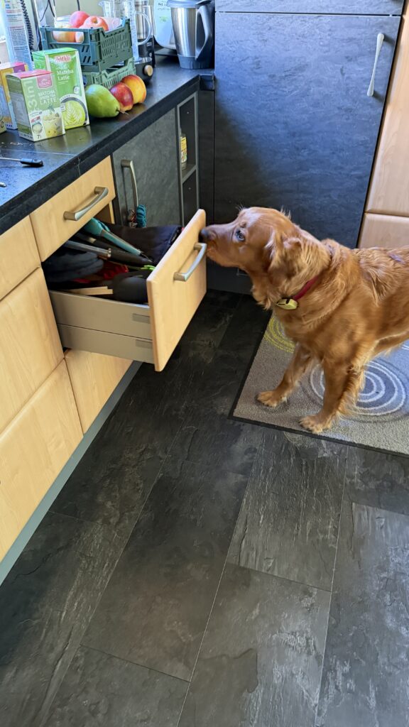 Luna schließt eine Schublade in der mittleren Ebene.