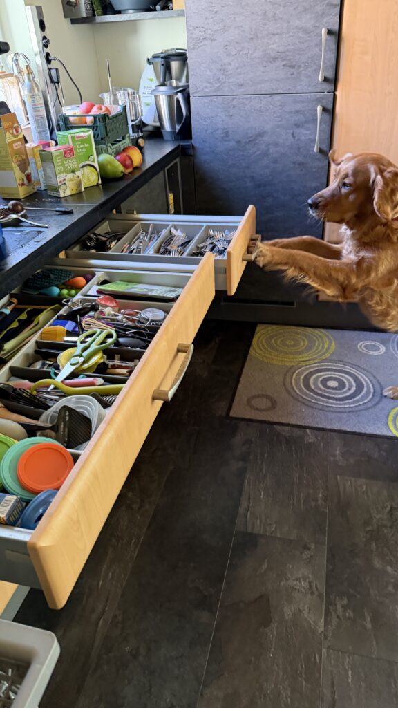 Luna schließt eine kleine Schublade (Besteckschublade), die recht weit oben ist.