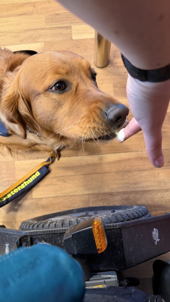 Luna schleckt einen Finger mit ein wenig weisser Schokolade darauf ab. 