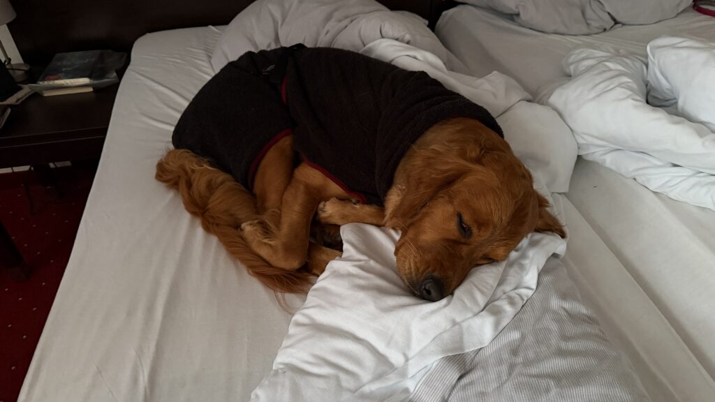 Luna liegt, mit Bademantel bekleidet, nach dem Duschen im Bett und schläft.