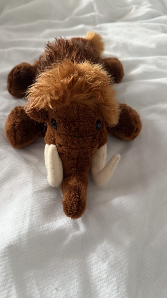 Lunas Mammut-Kuscheltier. Ein MItbringsel aus dem Landesmuseum Halle.