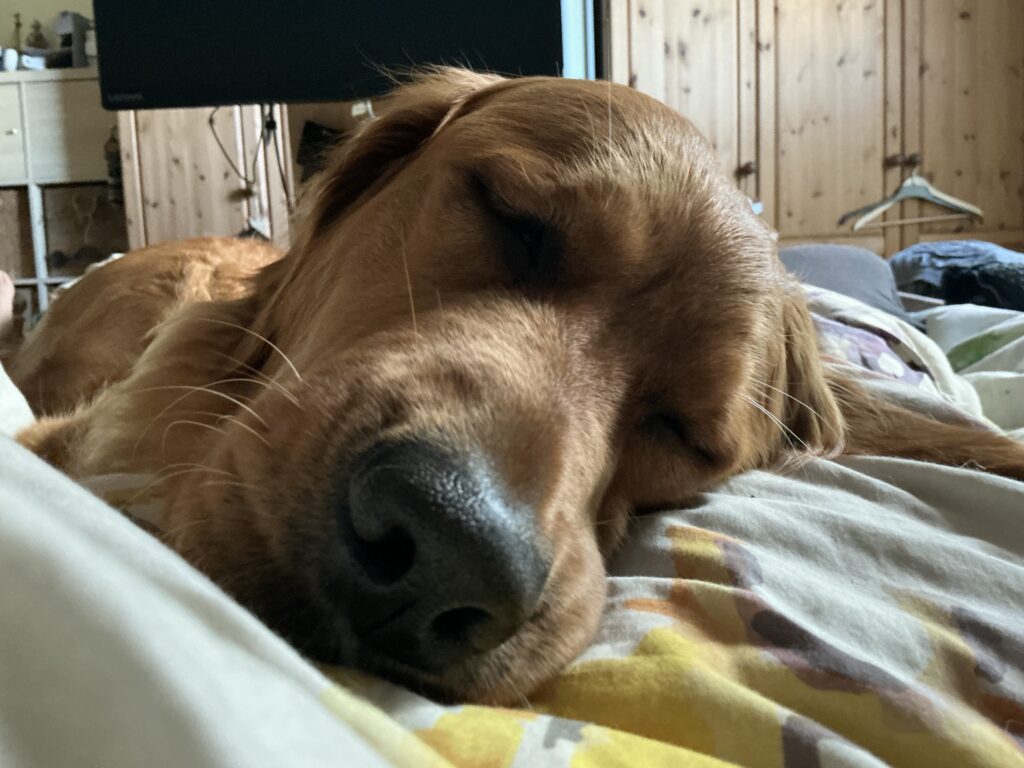 Luna ist geschafft!