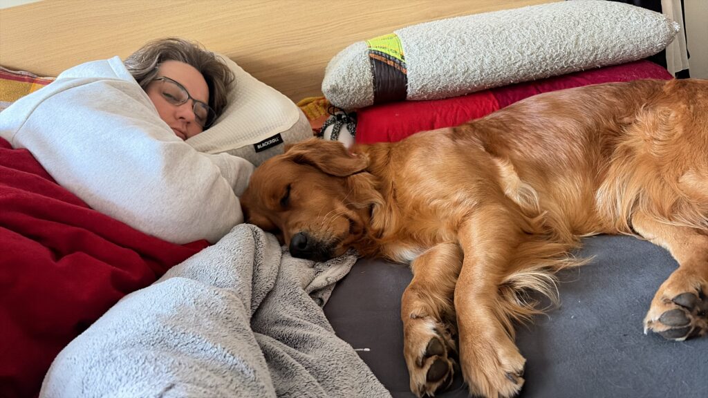 Luna liegt neben mir im Bett. Gemeinsam schlafen wir.