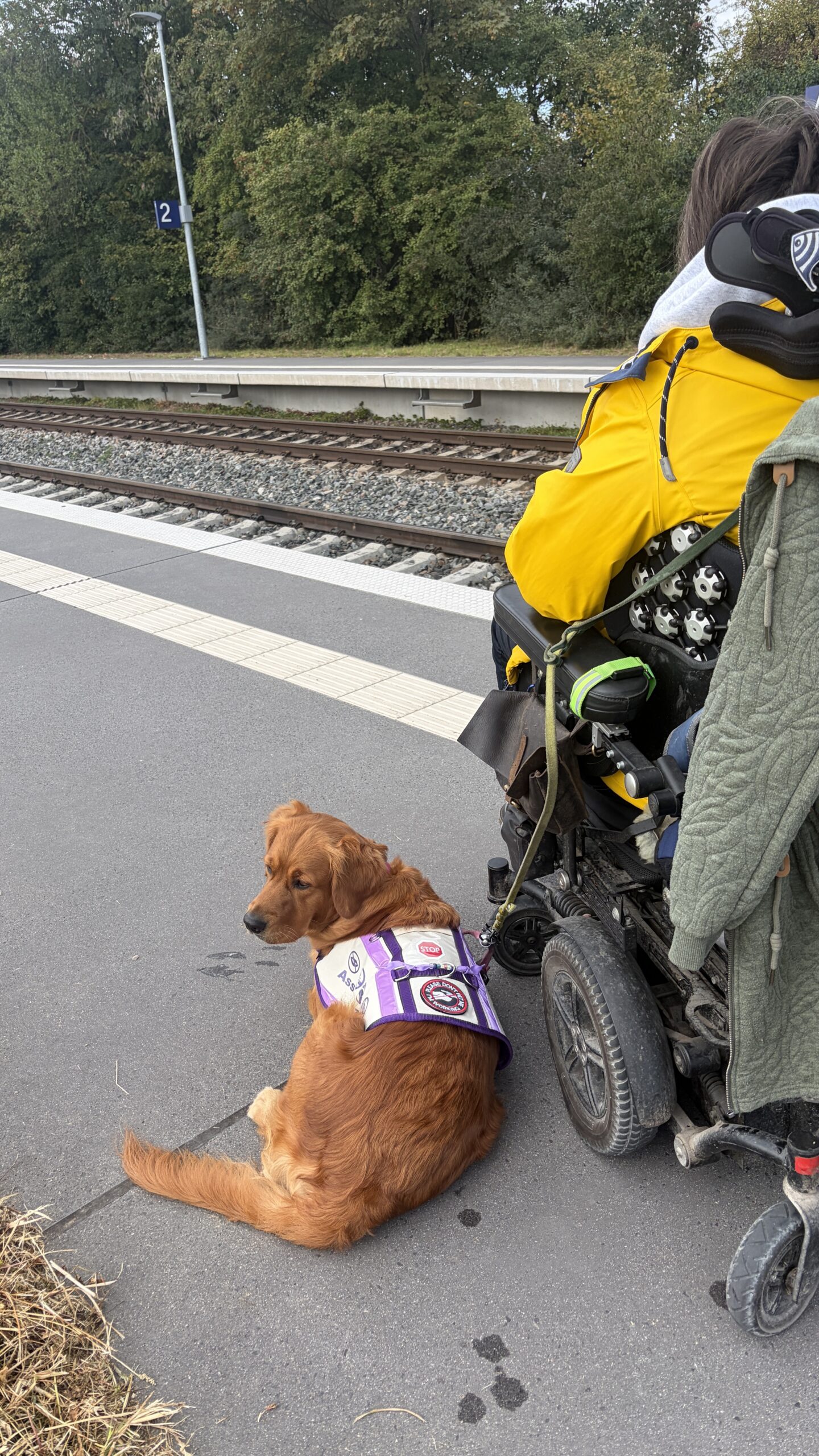 Schon wieder!