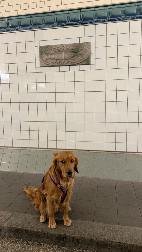 Luna sitzt vor einer der Figurenkacheln im alten Elbtunnel