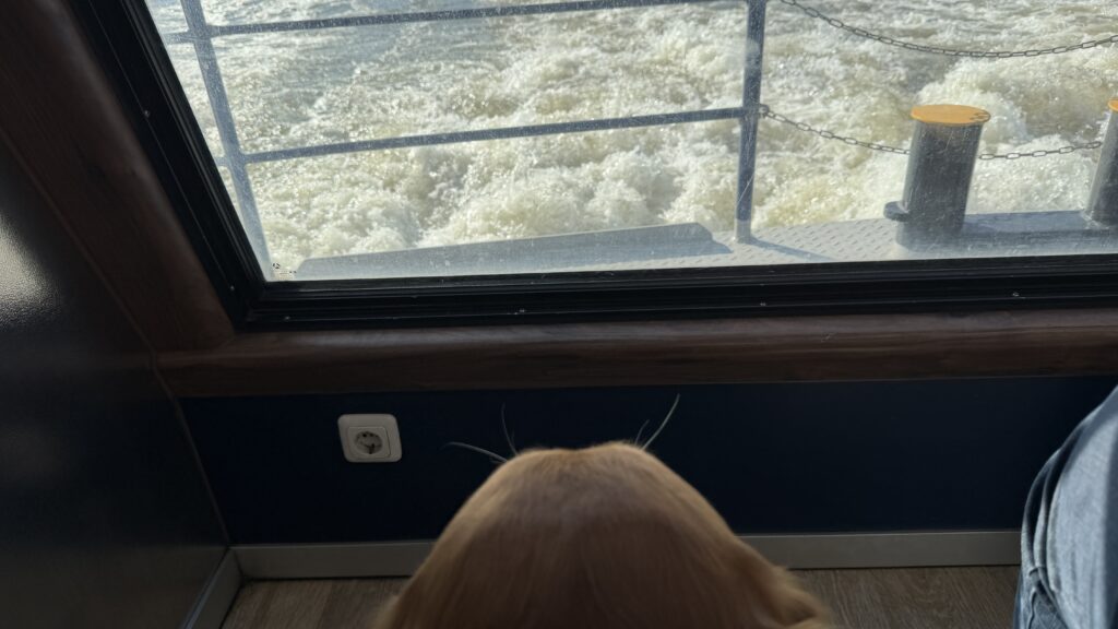 Luna schaut aus dem Fenster der Fähre. Sie sieht das durch den Motor aufschäumende Wasser.